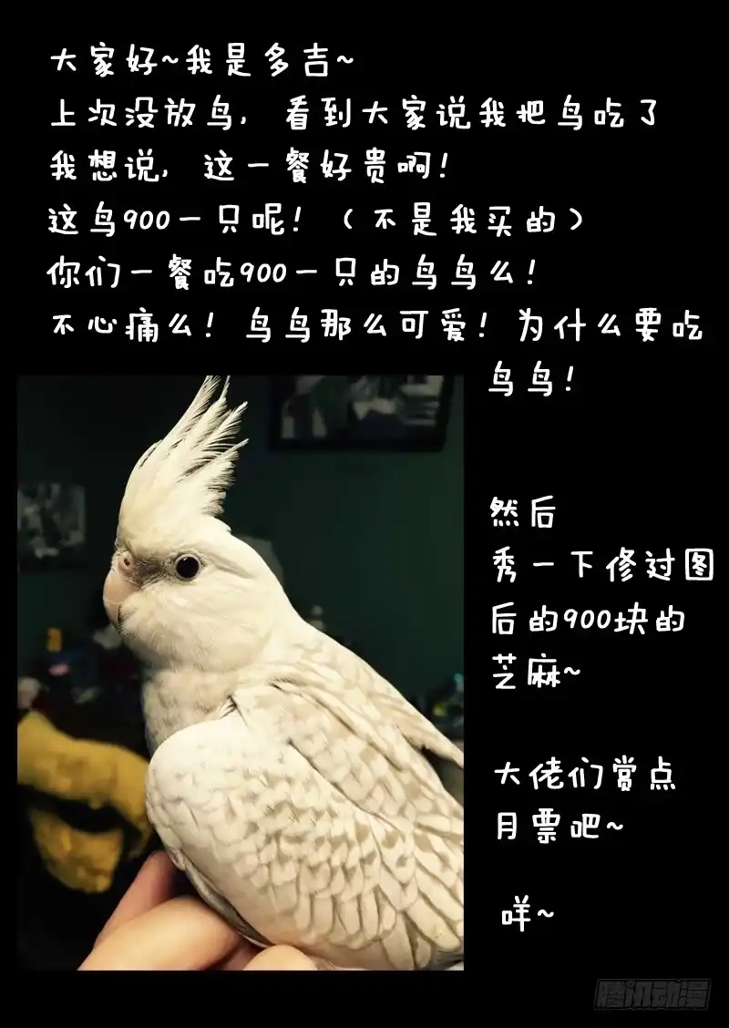 《藏龙卧猫》第一二六话 第12页