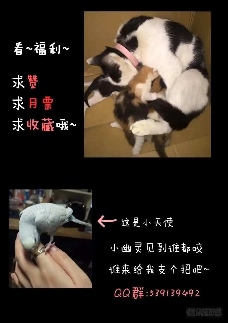 《藏龙卧猫》第十一话 第15页