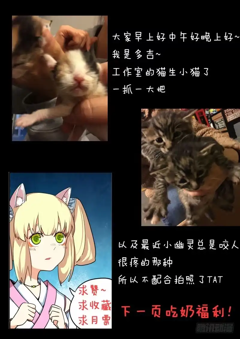 《藏龙卧猫》第十一话 第14页