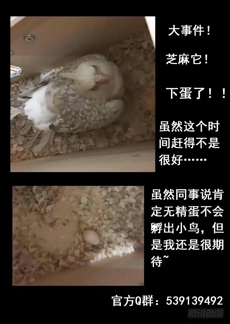 《藏龙卧猫》第一三七话 第14页