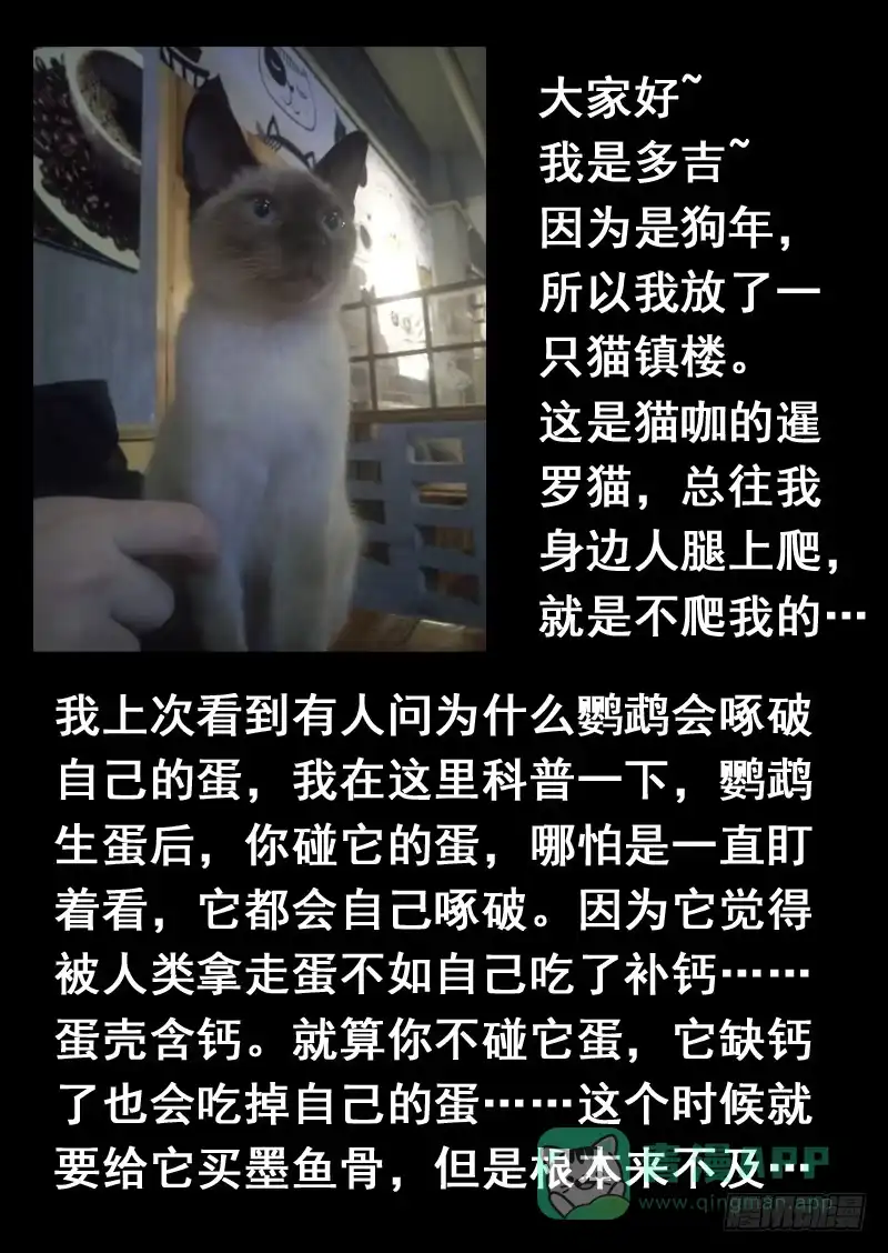 《藏龙卧猫》第一三九话 第11页