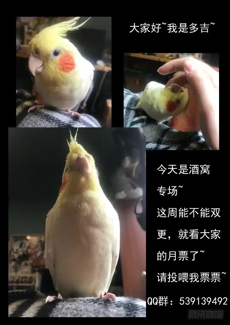 《藏龙卧猫》第一四四话 第12页