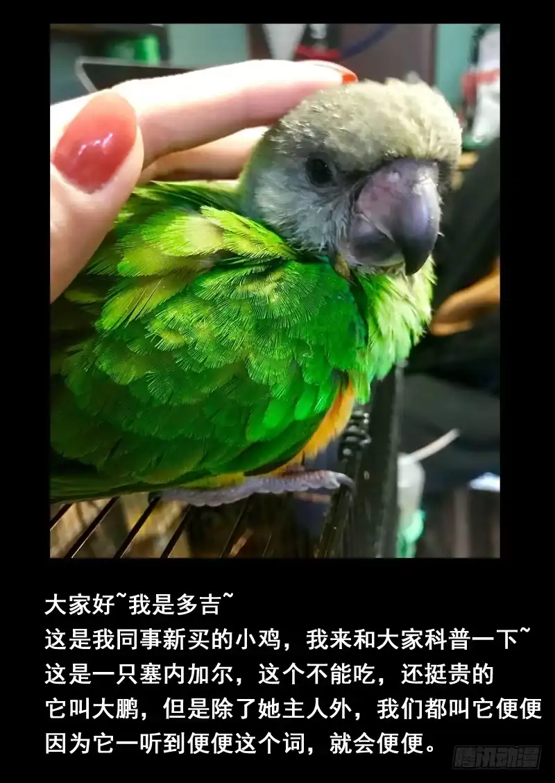 《藏龙卧猫》第一四六话 第8页