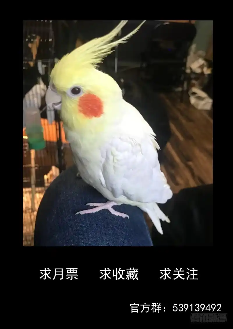 《藏龙卧猫》第一四七话 第10页