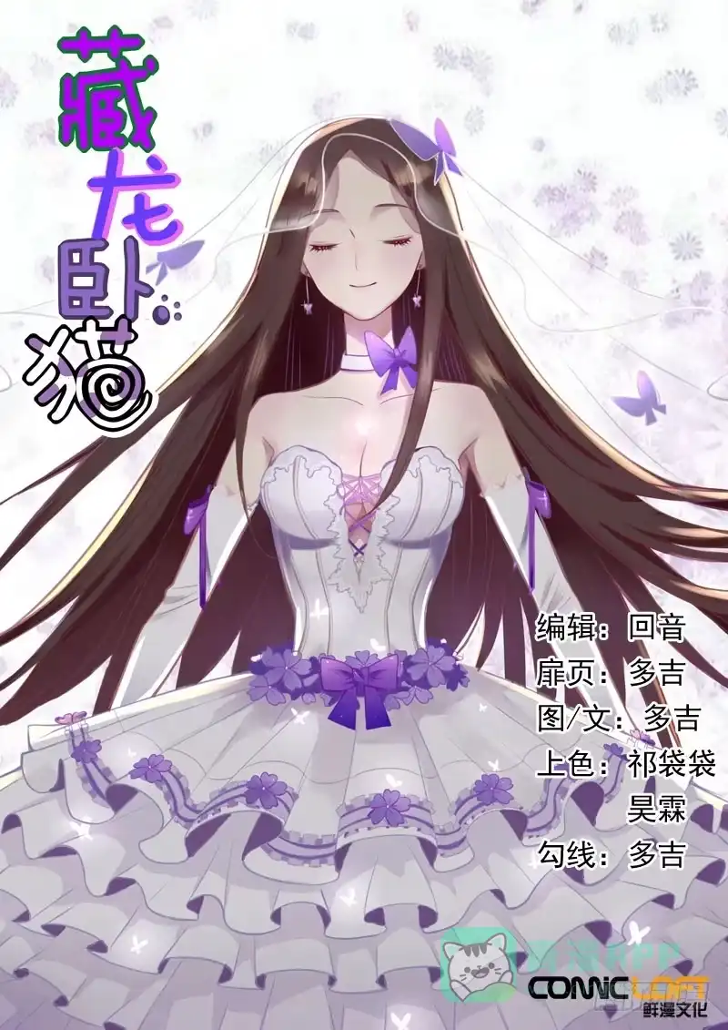 《藏龙卧猫》第一五二话 第1页