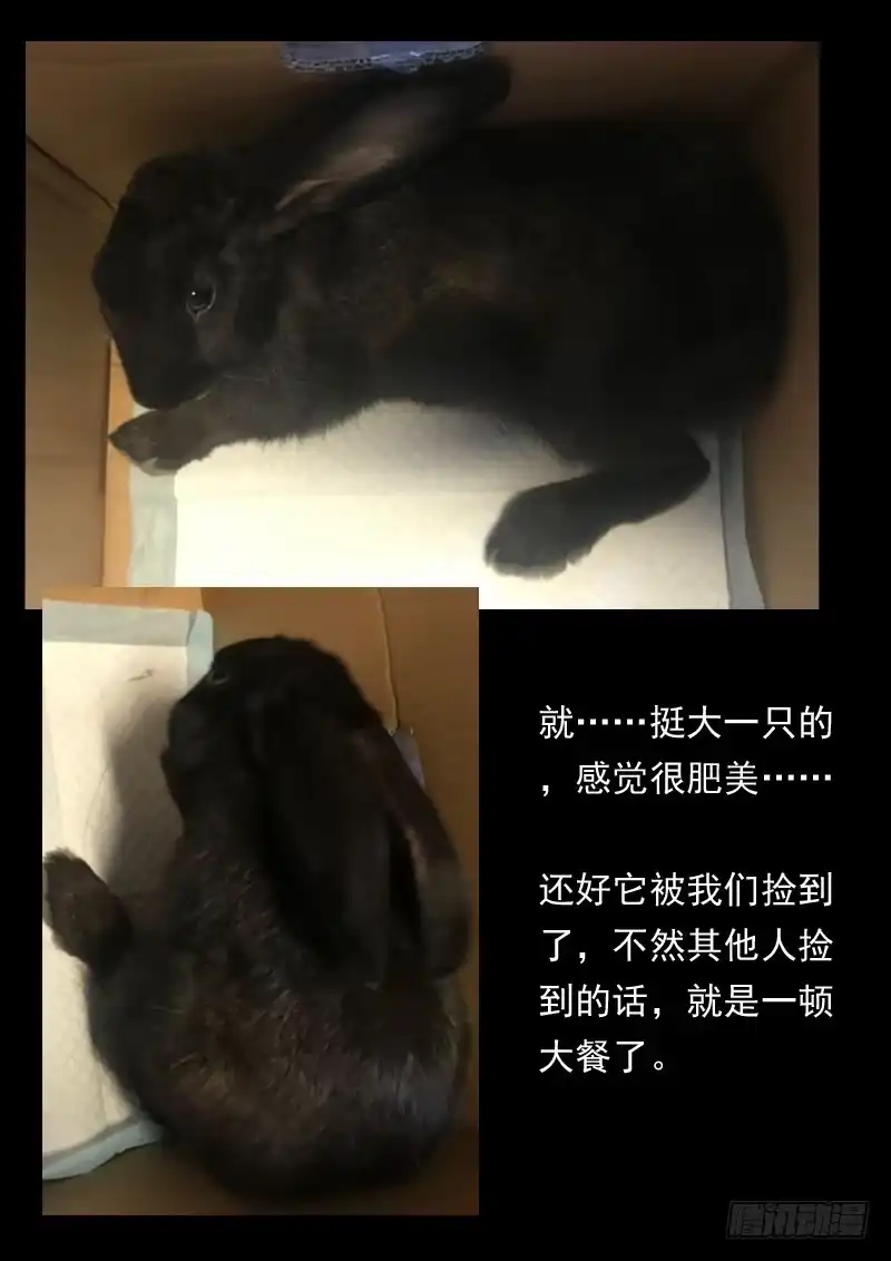 《藏龙卧猫》第一六零话 第10页