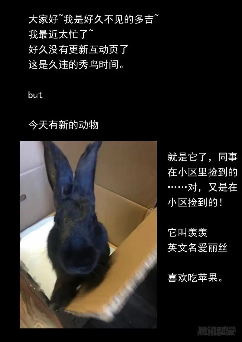 《藏龙卧猫》第一六零话 第9页