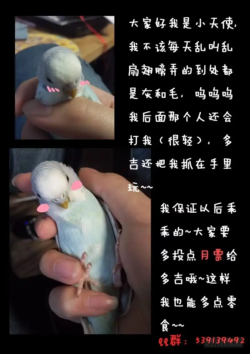 《藏龙卧猫》第十五话 第18页