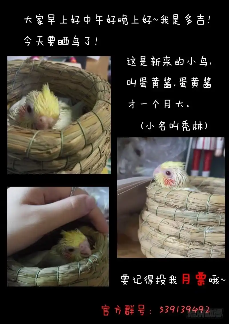 《藏龙卧猫》第十六话 第14页