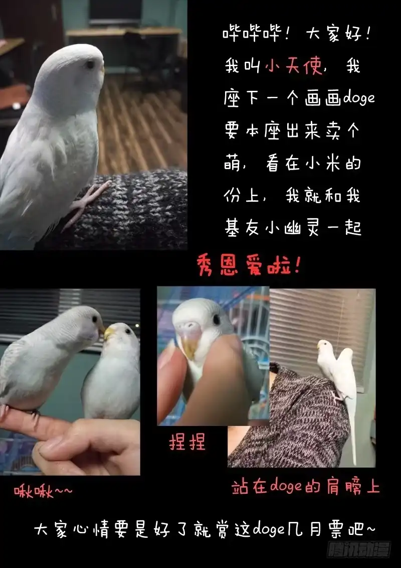 《藏龙卧猫》第一话中 第8页