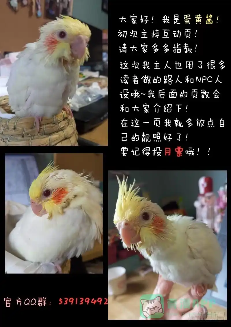 《藏龙卧猫》第十七话 第16页