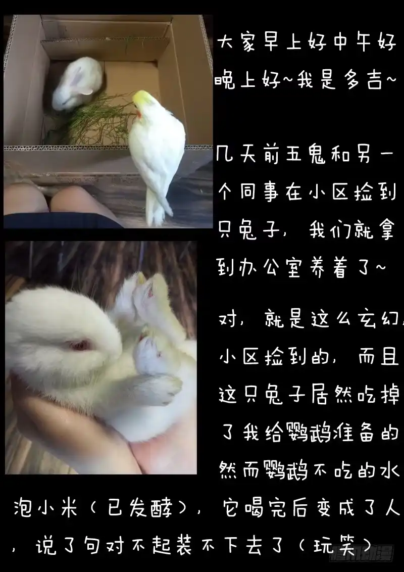 《藏龙卧猫》第十八话 第19页