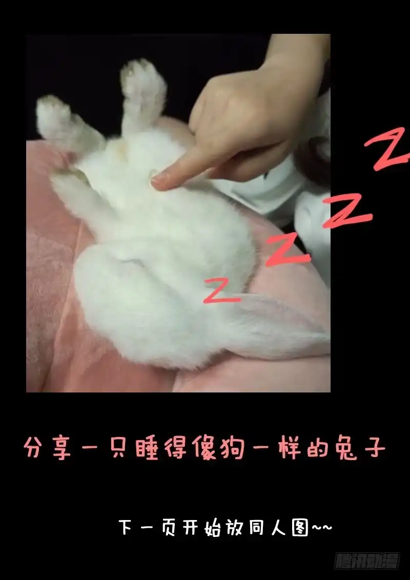 《藏龙卧猫》第十九话 第15页