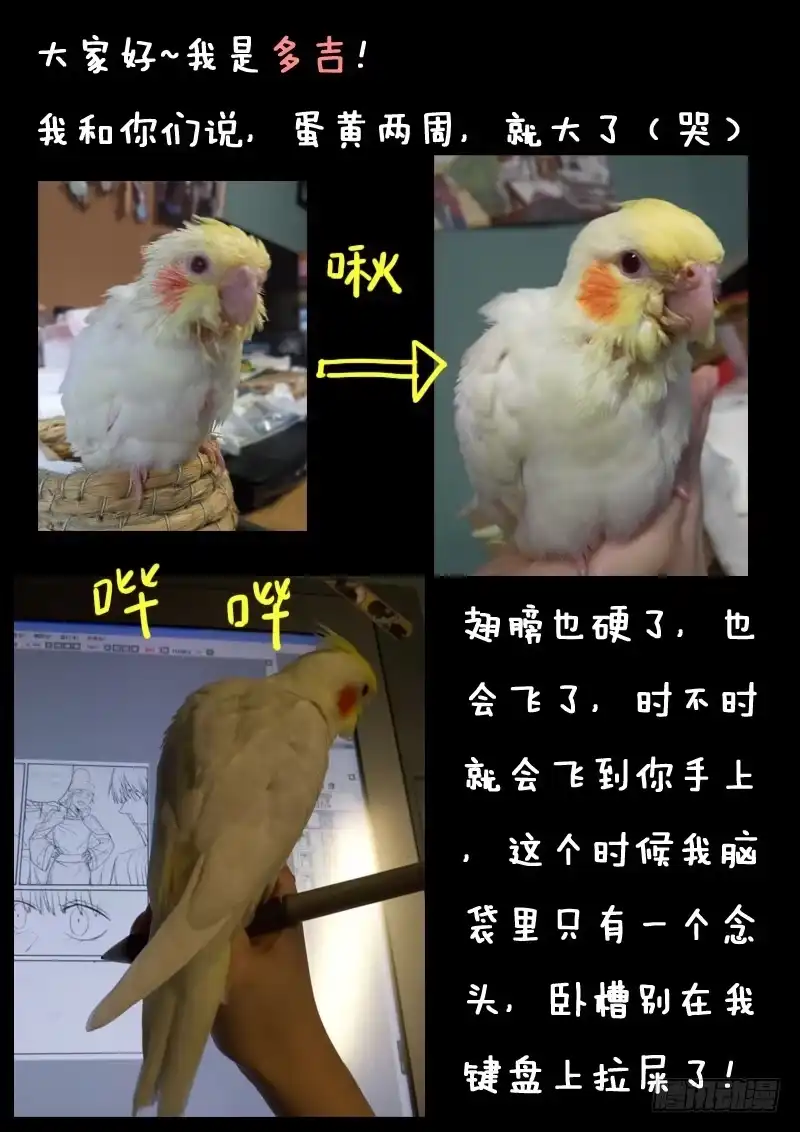 《藏龙卧猫》第十九话 第14页