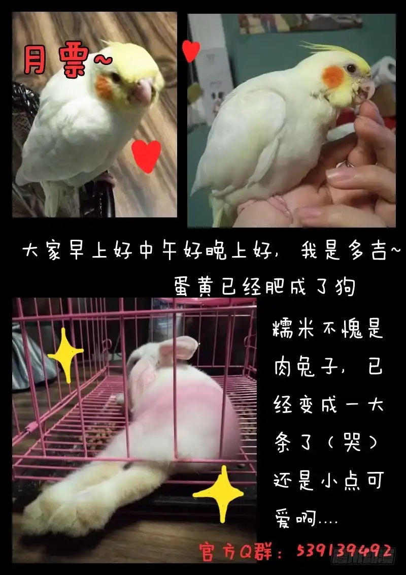 《藏龙卧猫》第二十话 第17页