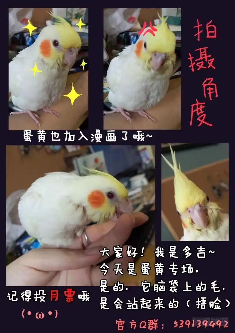 《藏龙卧猫》第二十二话 第15页