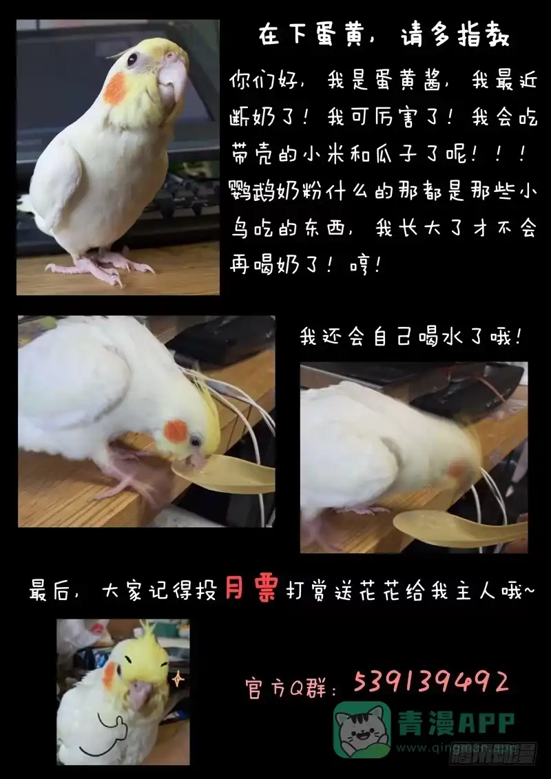 《藏龙卧猫》第二十三话 第16页