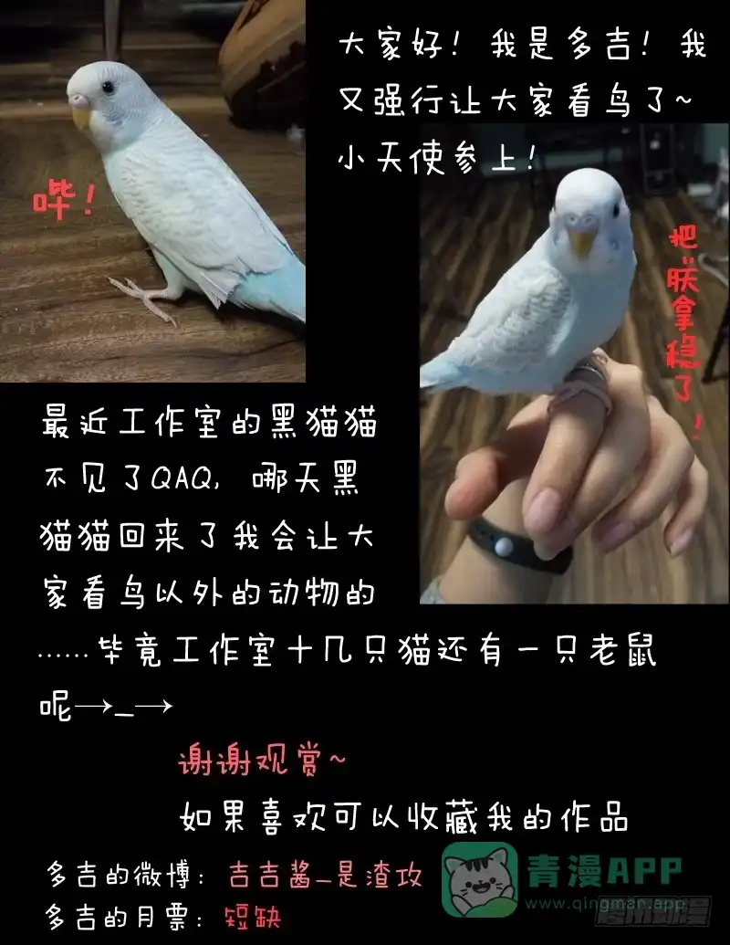 《藏龙卧猫》第一话下 第11页