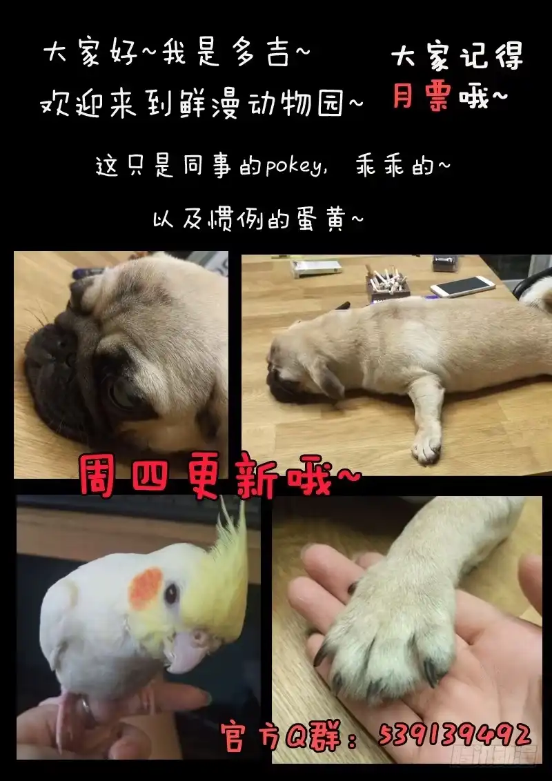 《藏龙卧猫》第二十六话 第17页