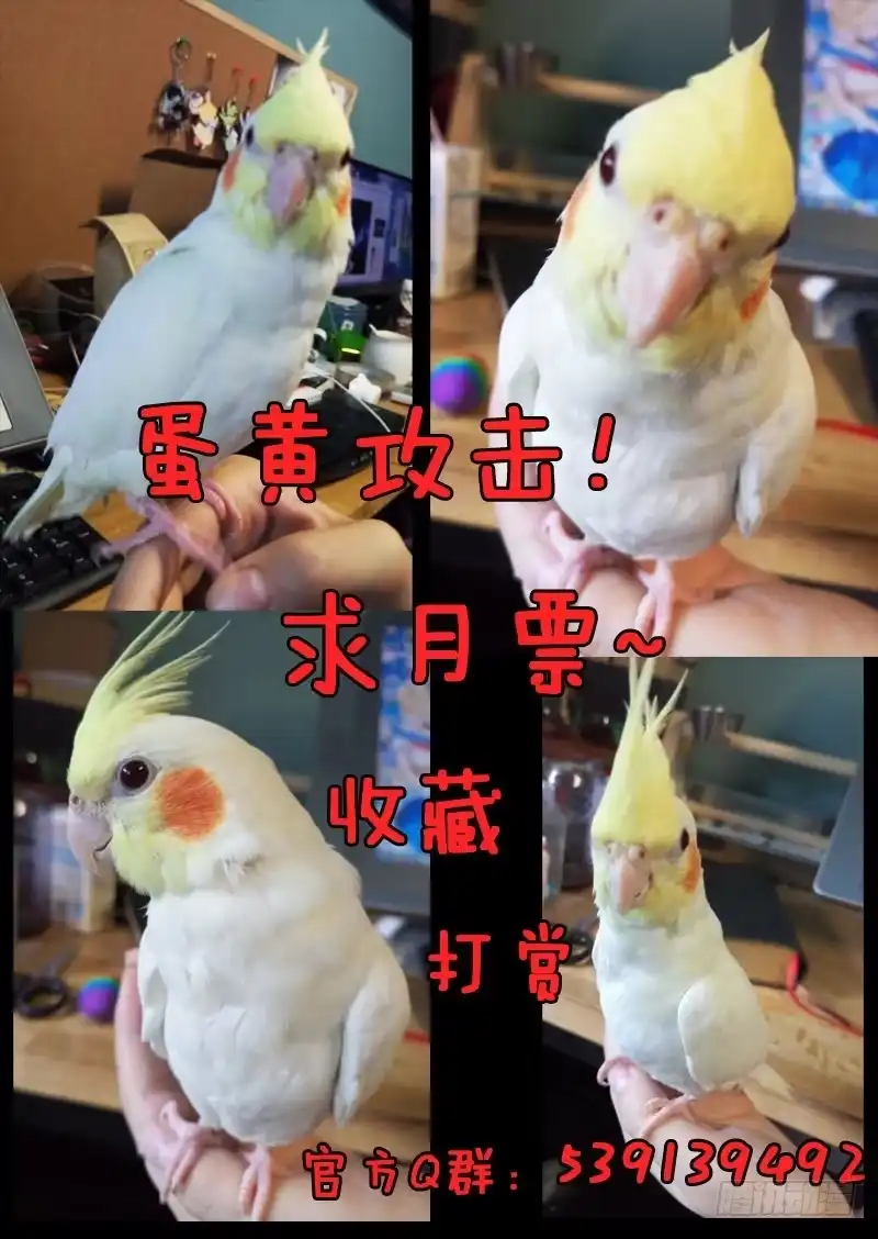 《藏龙卧猫》第二十七话 第15页