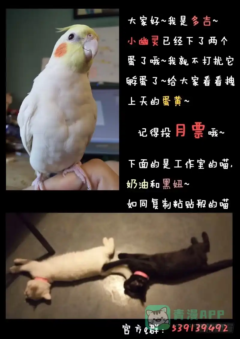 《藏龙卧猫》第三十一话 第11页