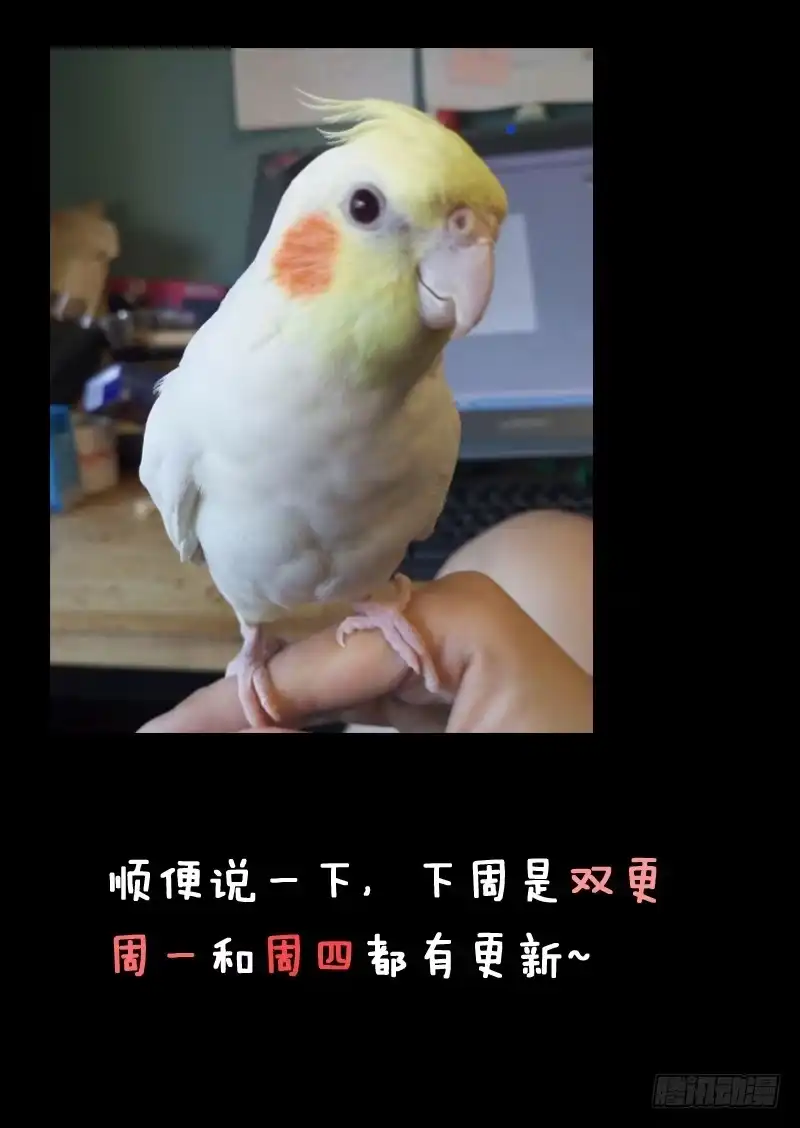 《藏龙卧猫》第三十一话 第12页