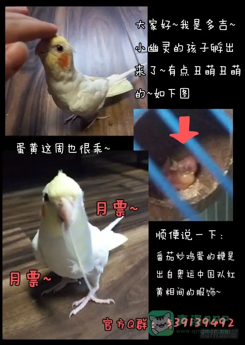 《藏龙卧猫》第三十四话 第11页
