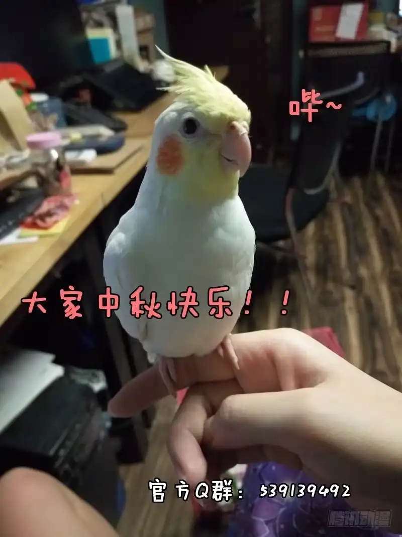 《藏龙卧猫》第三十六话 第10页
