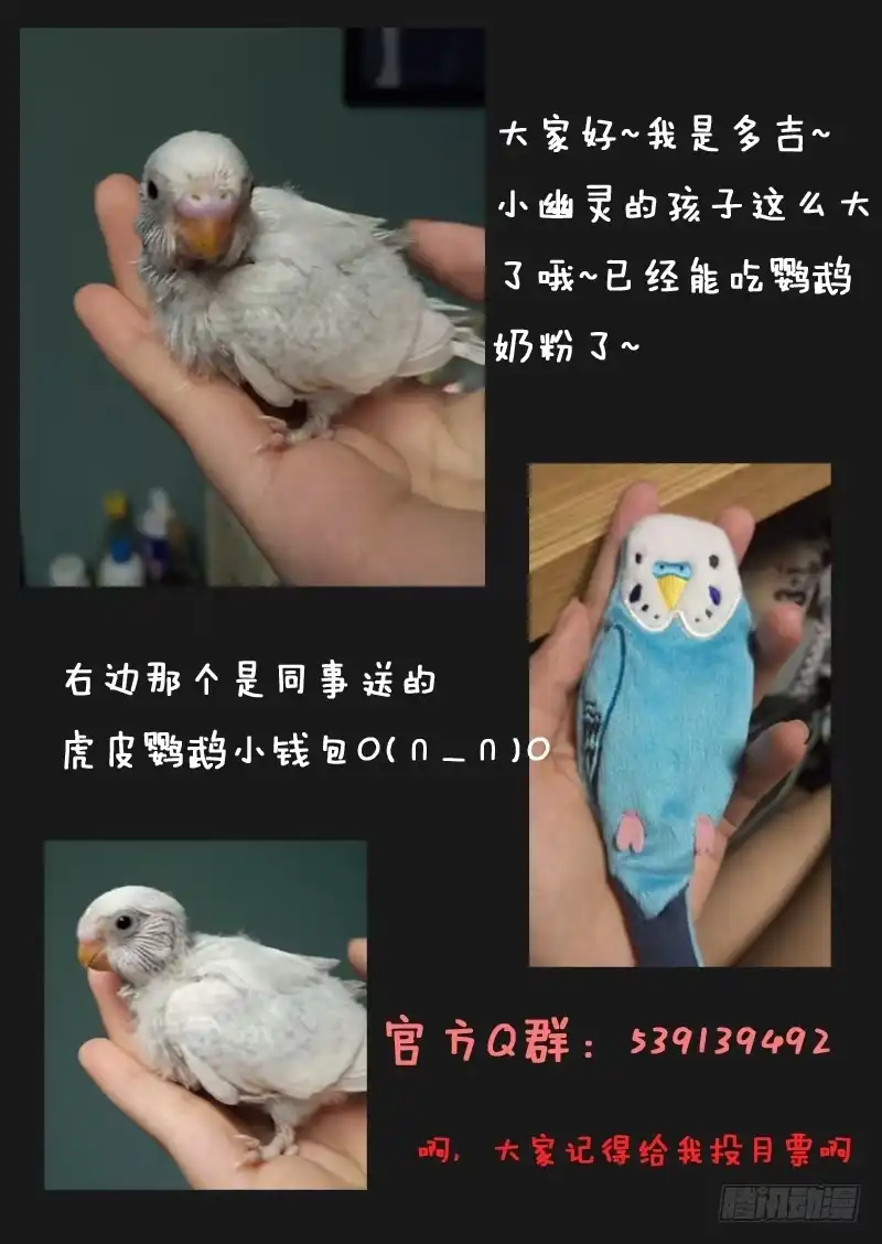 《藏龙卧猫》第三十八话 第10页