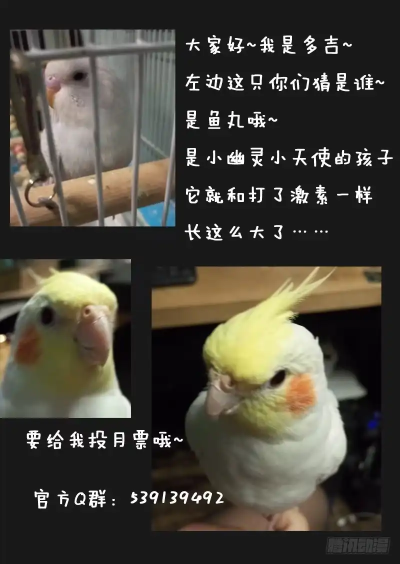 《藏龙卧猫》第四十话 第9页