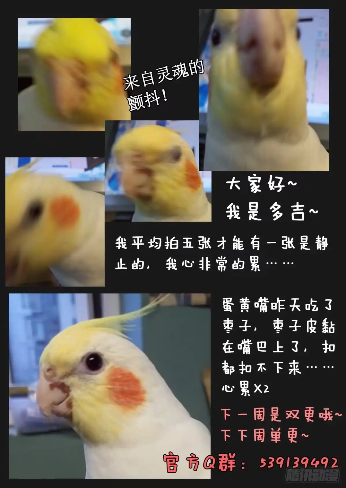 《藏龙卧猫》第四十一话 第10页