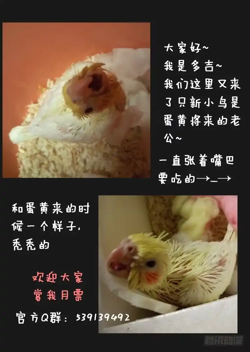 《藏龙卧猫》第四十二话 第10页