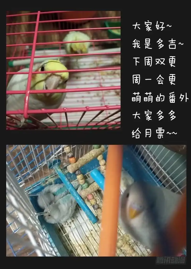 《藏龙卧猫》第四十四话 第9页