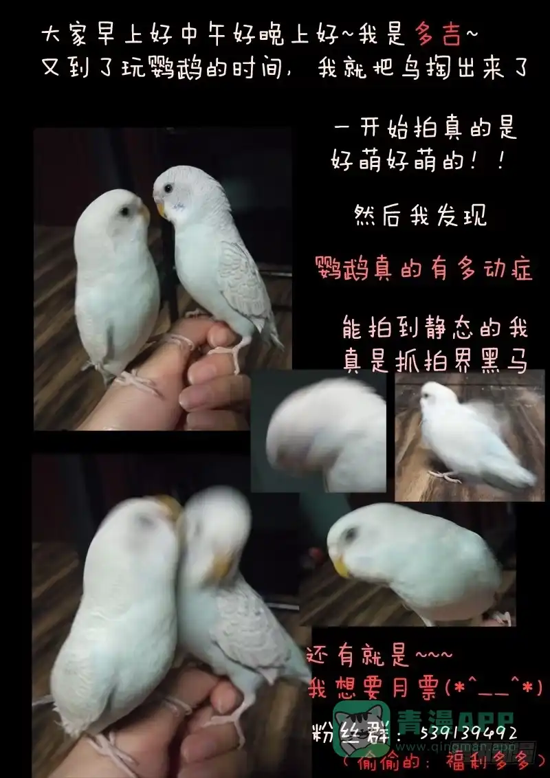 《藏龙卧猫》第二话下 第11页