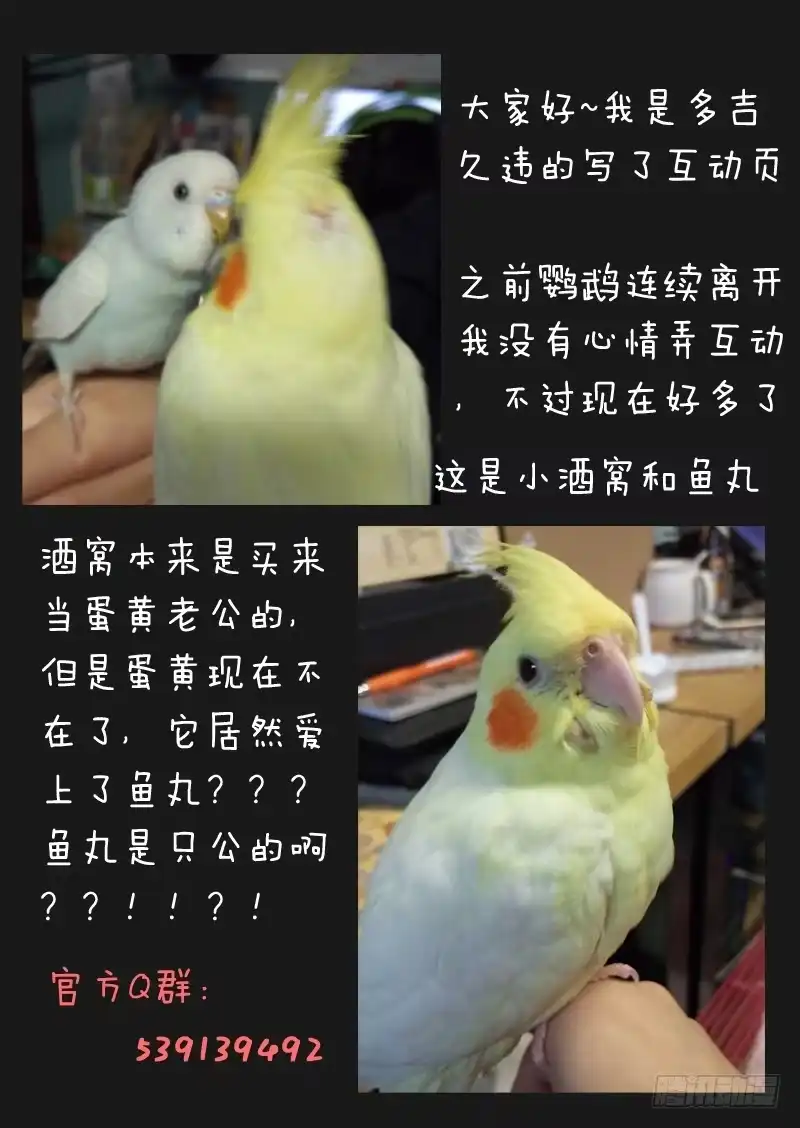 《藏龙卧猫》第五十一话 第10页
