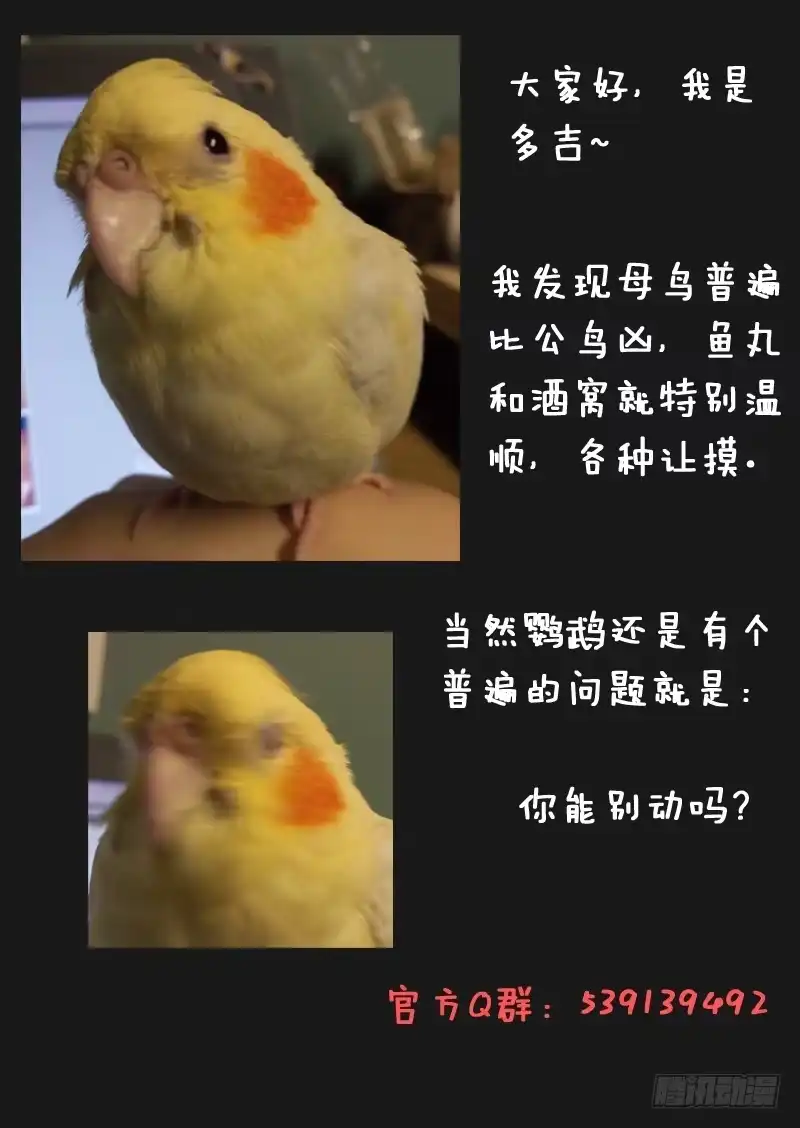 《藏龙卧猫》第五十二话 第10页