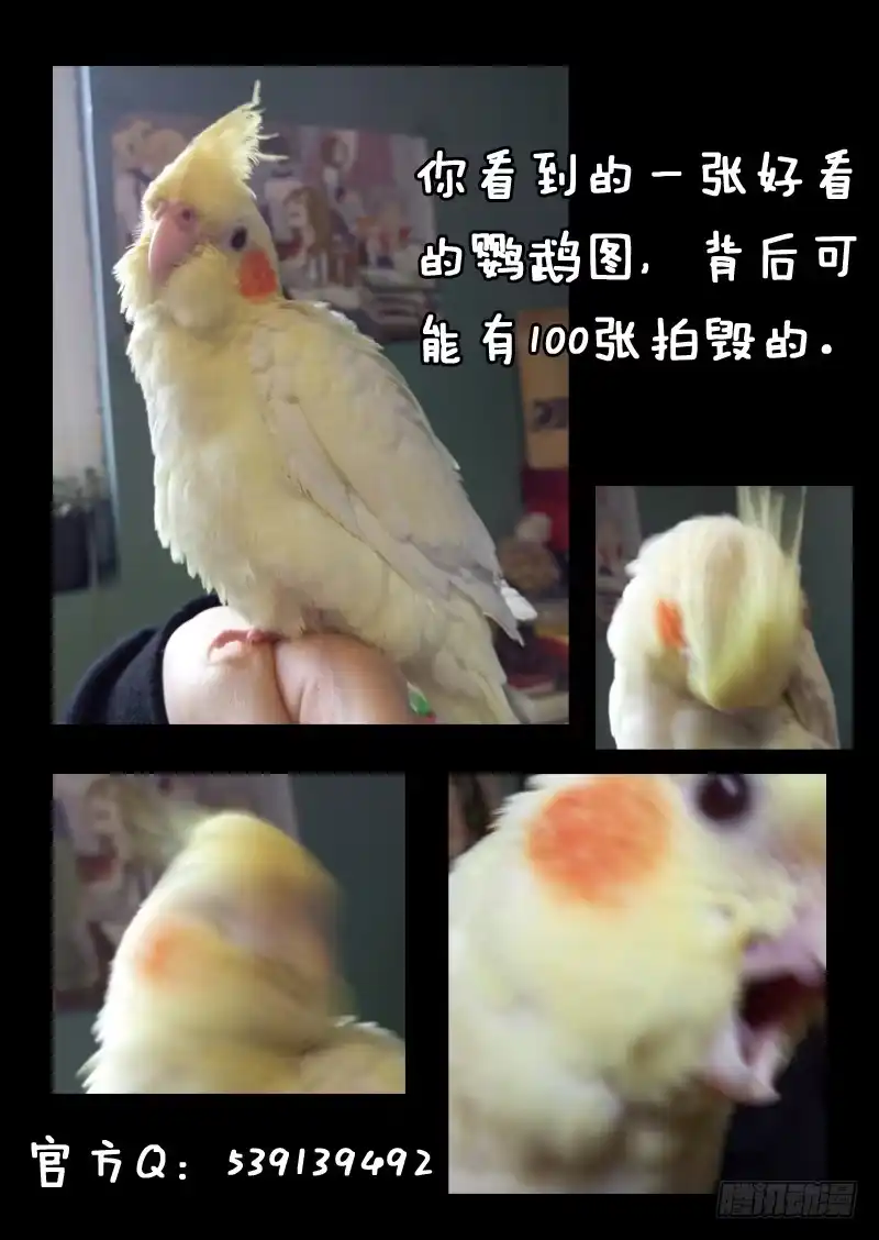 《藏龙卧猫》第五十五话 第10页