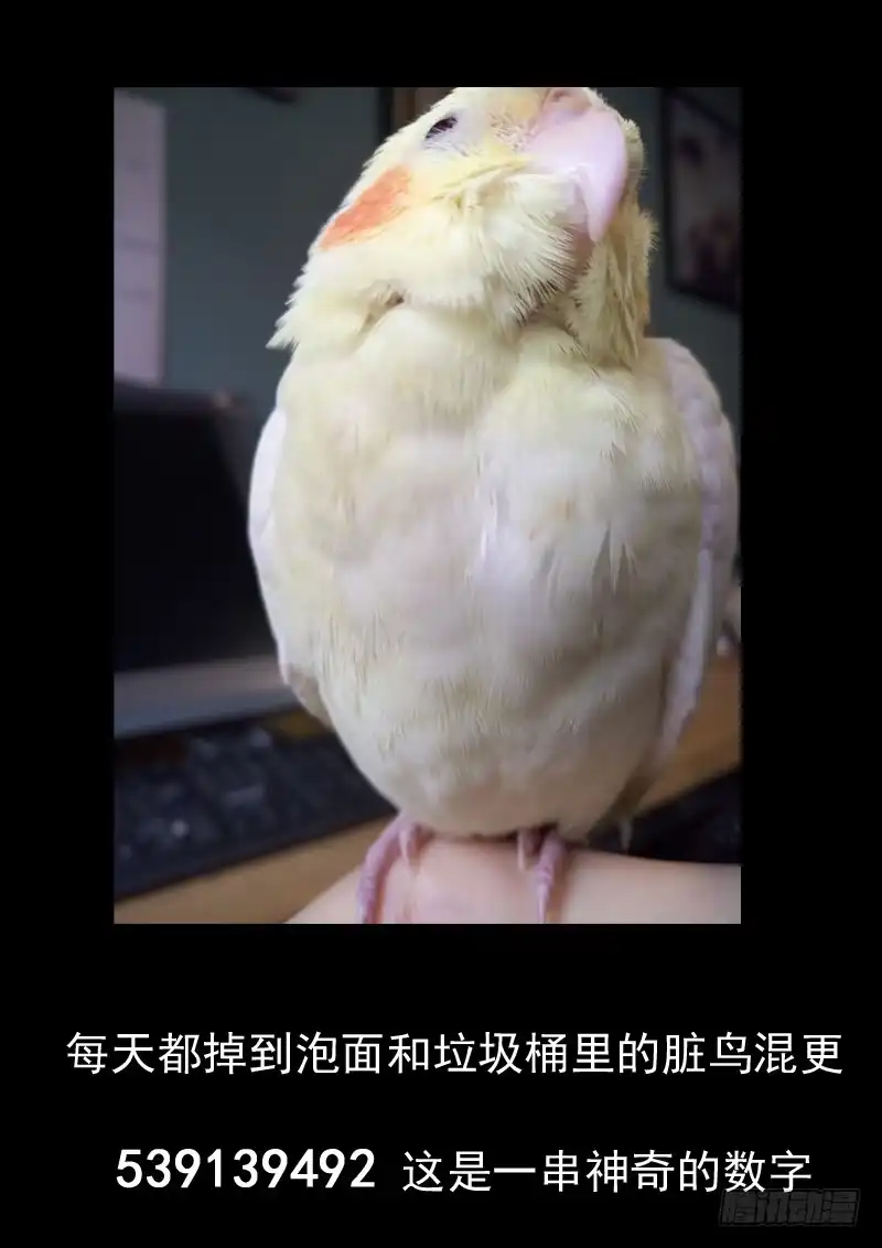 《藏龙卧猫》第五十六话 第12页