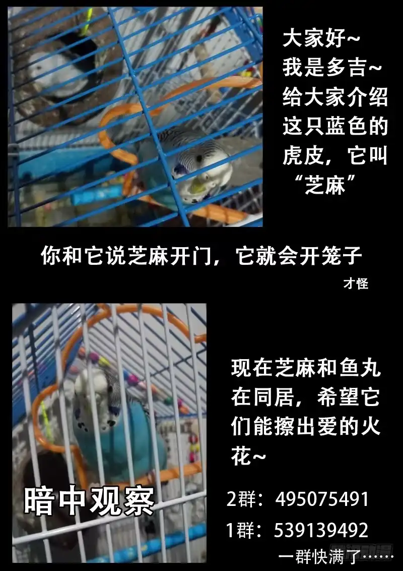 《藏龙卧猫》第六十一话 第12页