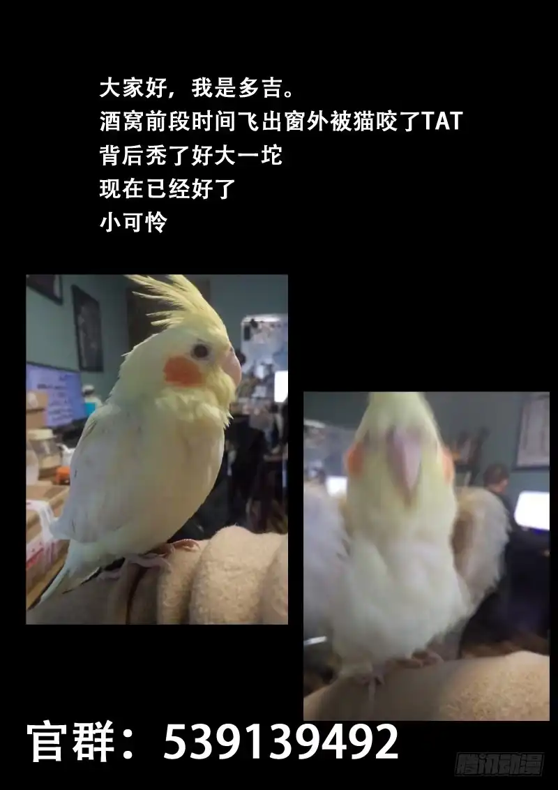 《藏龙卧猫》第六十七话 第12页
