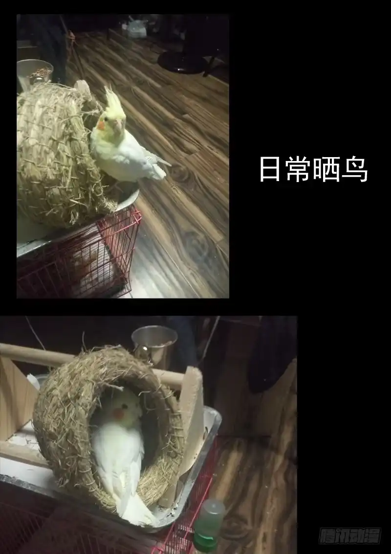 《藏龙卧猫》第七十四话 第10页