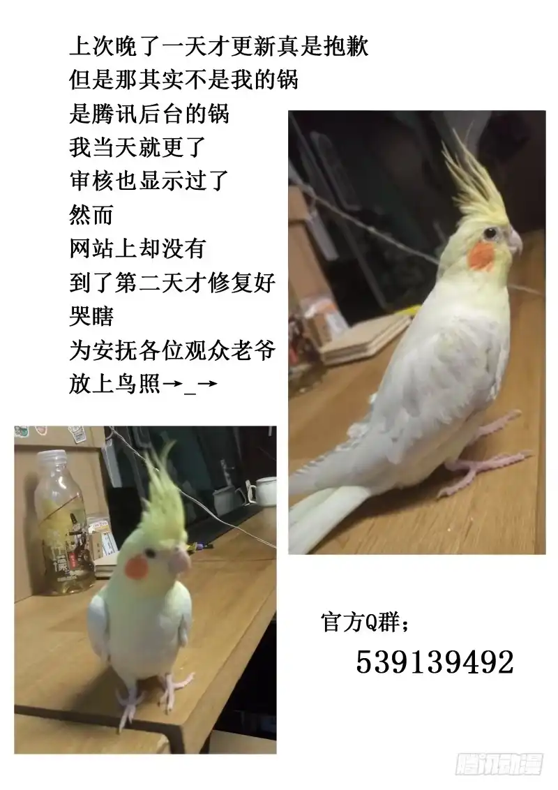 《藏龙卧猫》第七十七话 第10页
