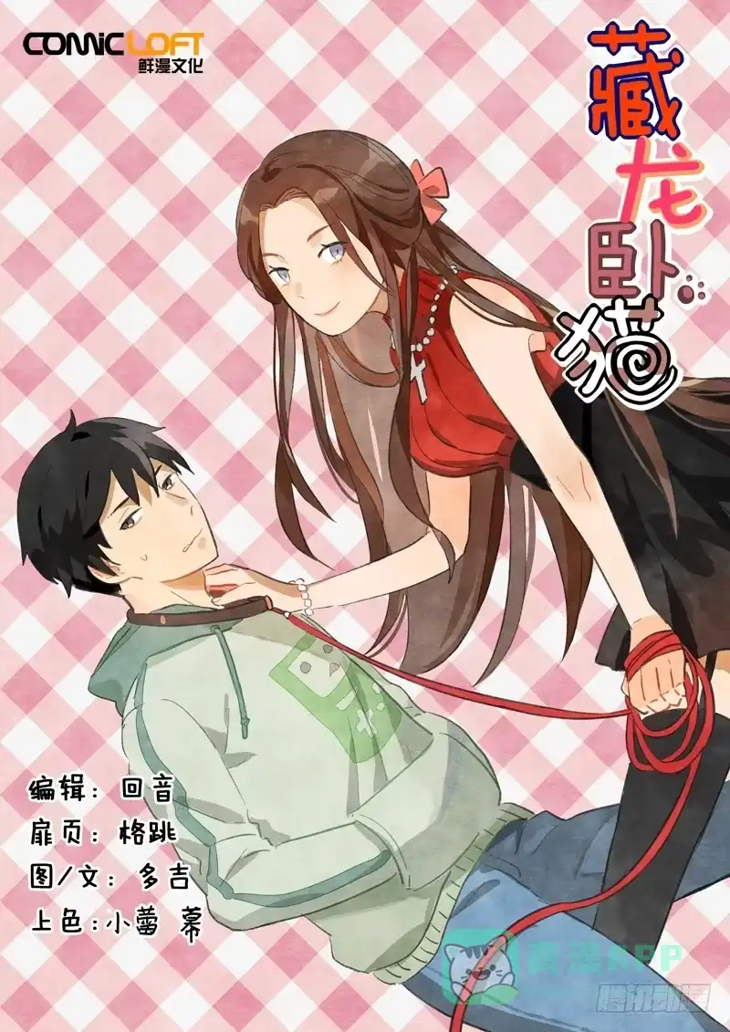《藏龙卧猫》第八十话 第1页