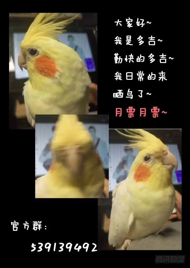 《藏龙卧猫》第八十四话 第12页