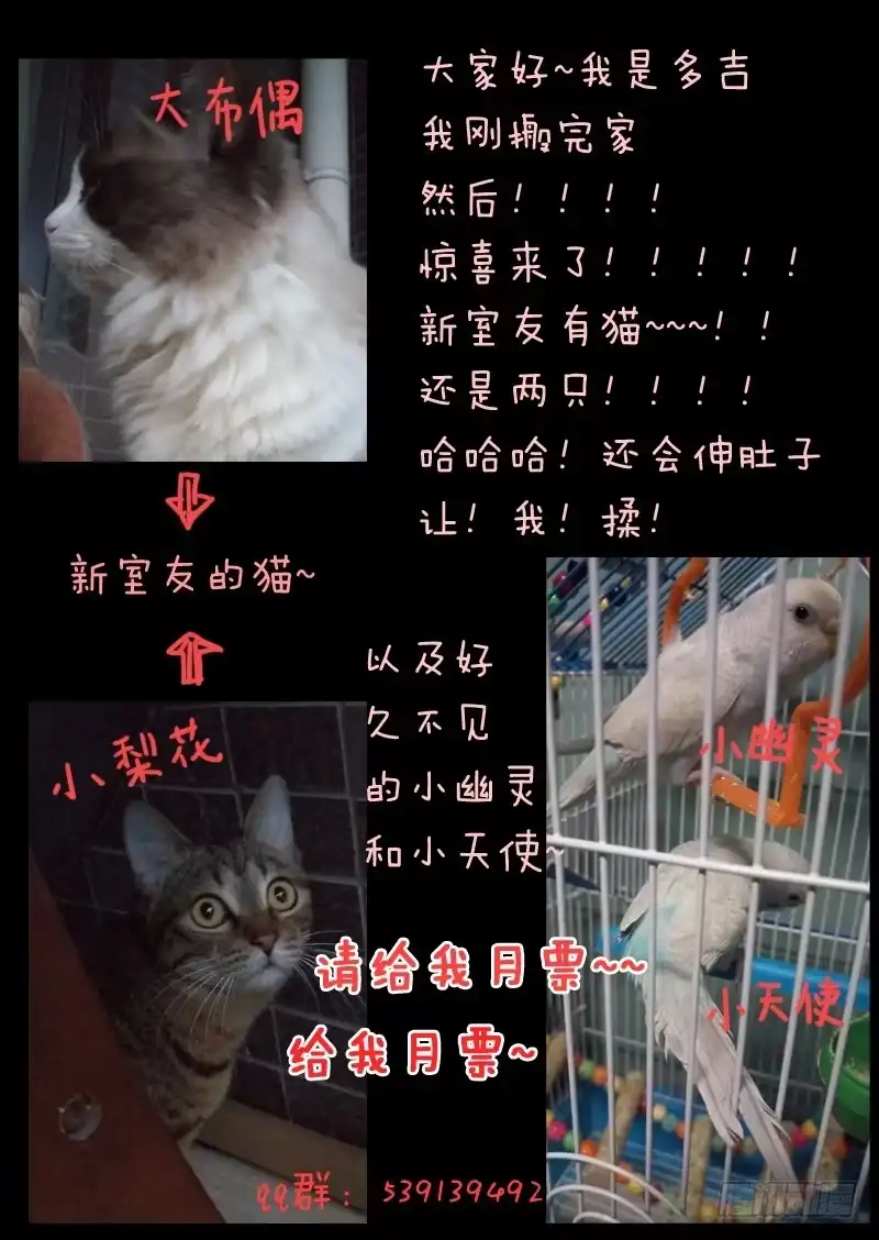 《藏龙卧猫》第六话 第14页