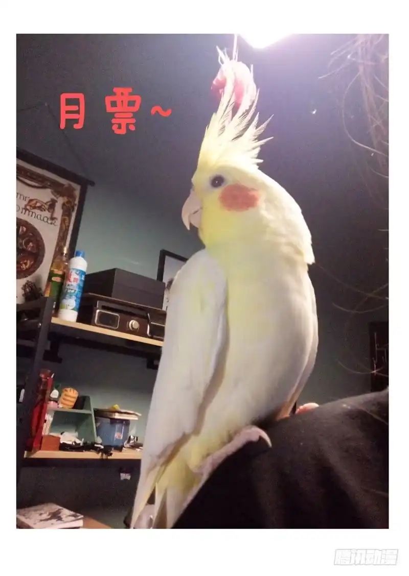 《藏龙卧猫》第八十六话 第10页