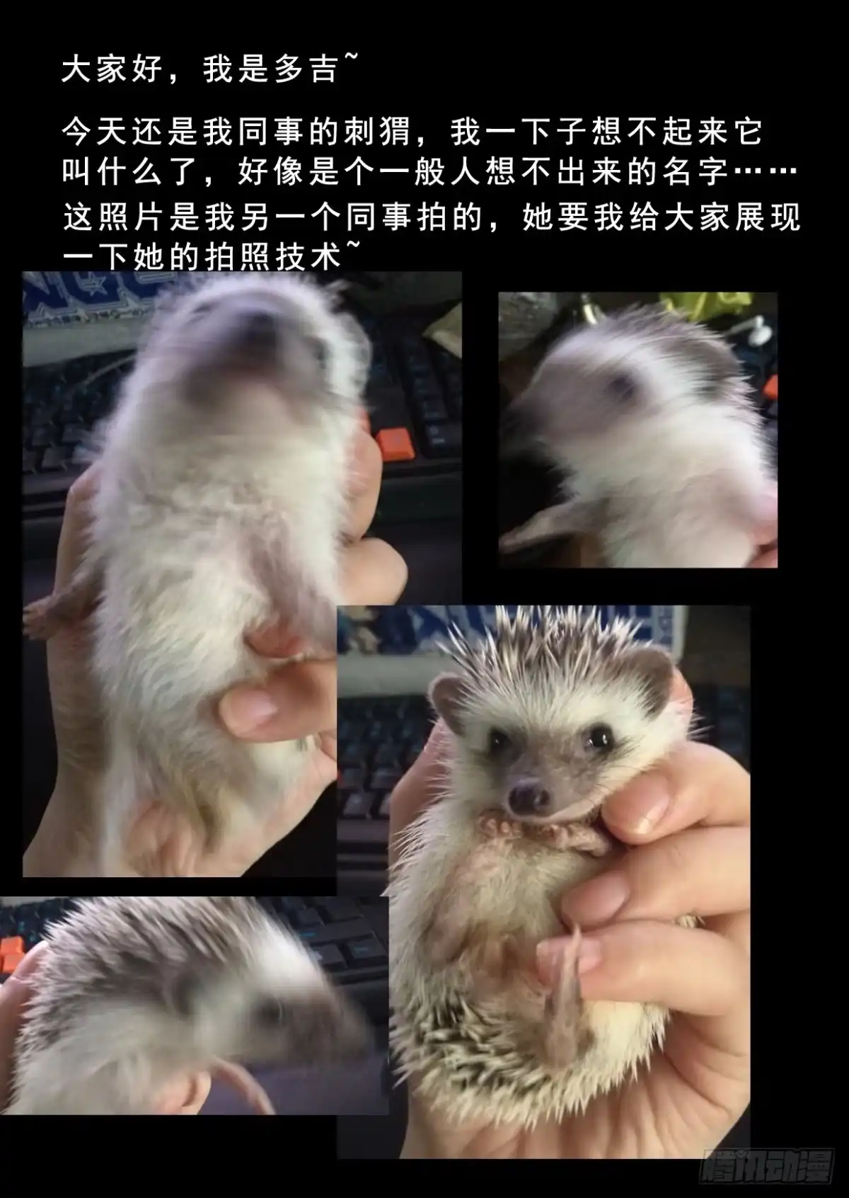 《藏龙卧猫》第九十话 第9页