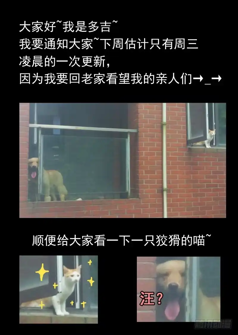 《藏龙卧猫》第九十二话 第9页