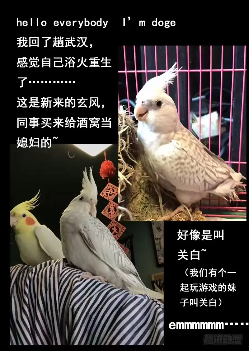 《藏龙卧猫》第九十四话 第10页