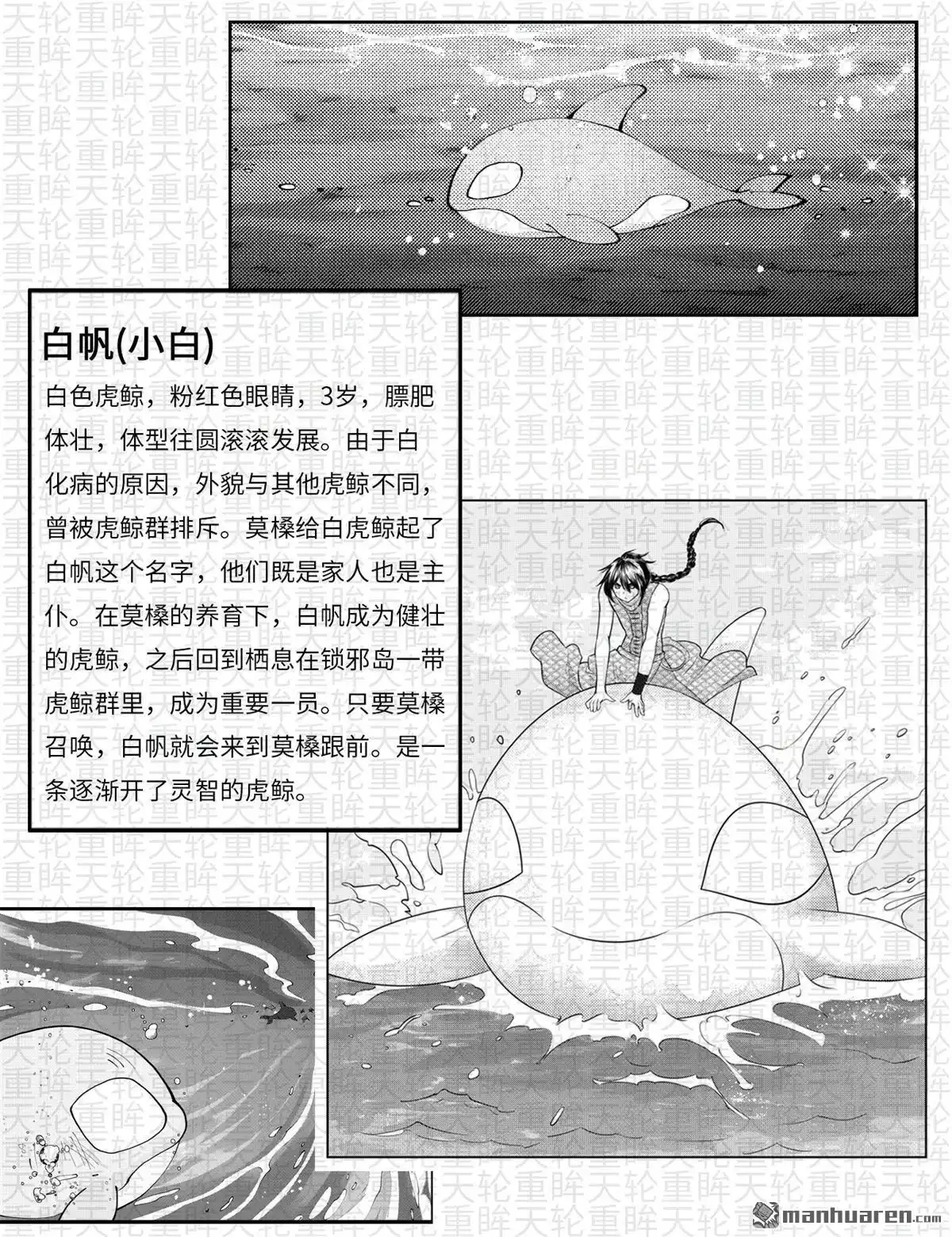 《苍云游龙》第8回 资料设定（二） 第3页